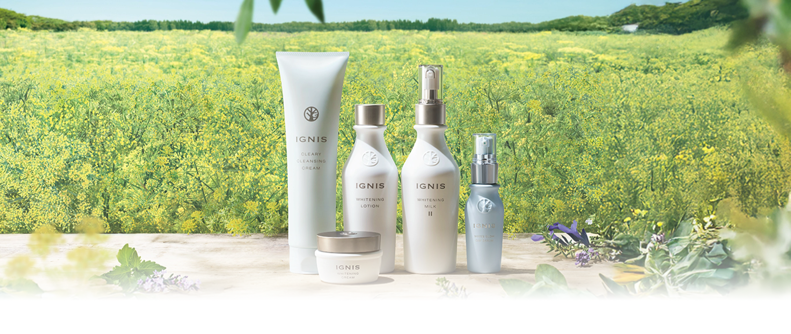 商品ヒストリー IGNIS