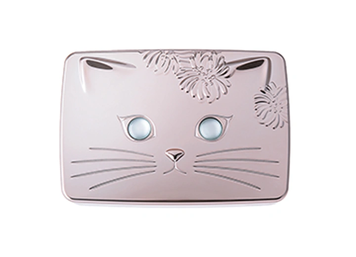 2021年 パウダー ファンデーション ケース​