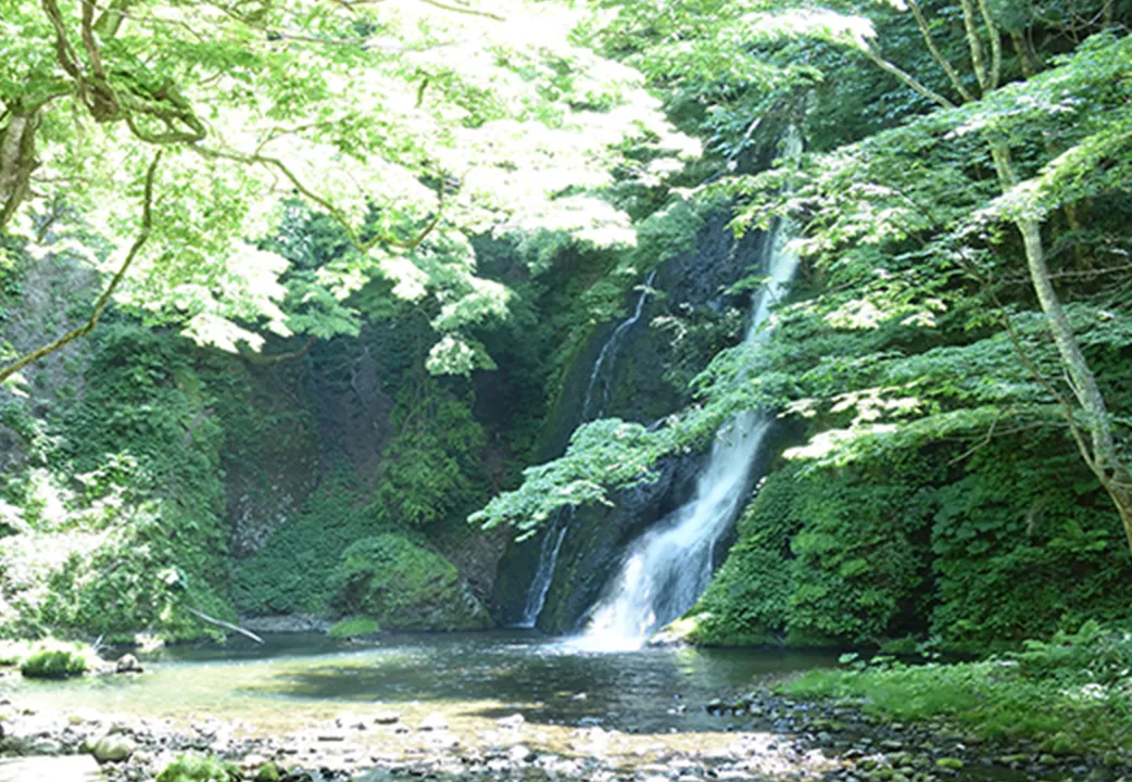 白神山地 イメージ